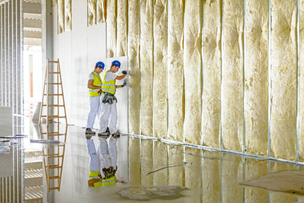 Best Eco-Friendly Insulation in Sto Brook University, NY